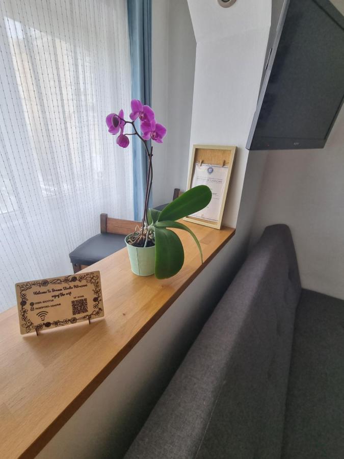 Dream Studio Petroşani المظهر الخارجي الصورة